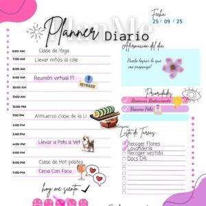 Paquete de planeadores diarios , diseños variados